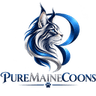 Pure Maine Coons Logo